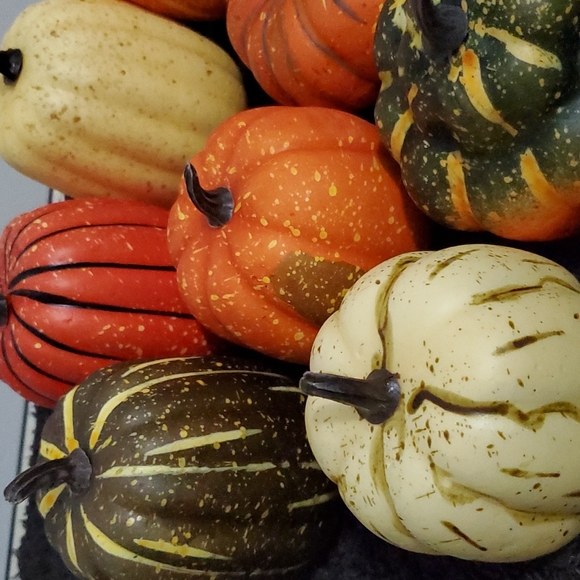 Mini pumpkins 12 - Picture 2 of 4
